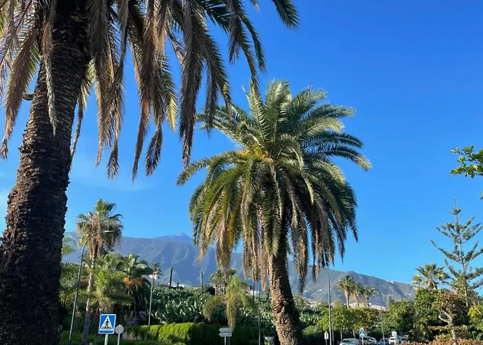 Appartement Jardin Del Mar