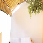 Jardin Del Mar * Puerto de la Cruz (Tenerife)